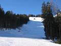 IMG-8393-1.JPG
