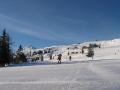 IMG-9185-1.JPG