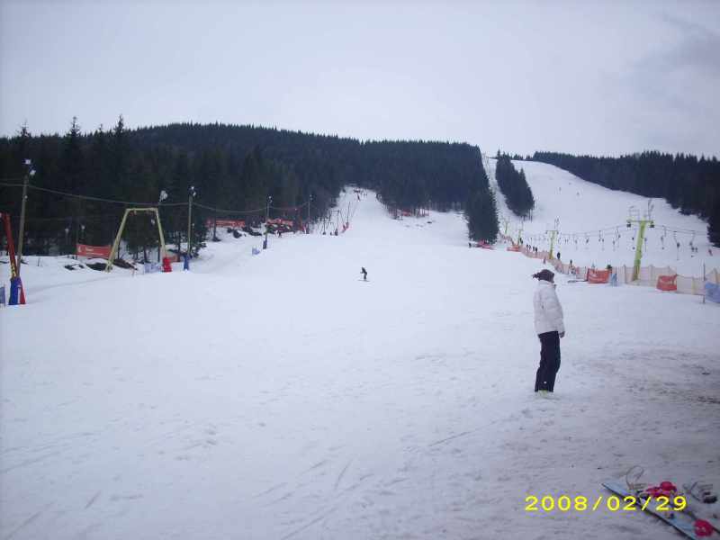 IMG-0019.JPG