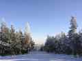 IMG-3816.jpg