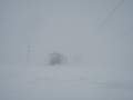 IMG-6446l.jpg