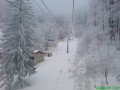DSC00636.JPG
