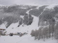 IMG-3212.jpg