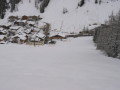 IMG-3226.jpg