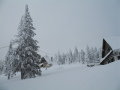 IMG-4140.JPG