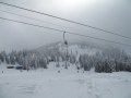IMG-4142.JPG