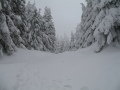 IMG-4151.JPG