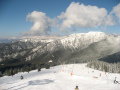 IMG-0301.jpg