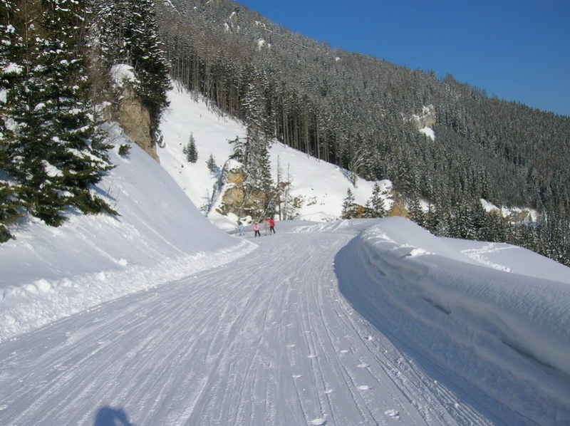 Aflenz-2009-marcius-21-038.jpg-7.jpg