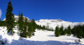 Siebenbrunn-Wiese-fele.jpg