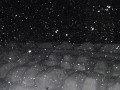 DSCF1861.JPG