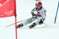 Nivelco Ski Team - �len s�el�s&nbsp;(6 k�p)