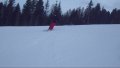IMGP3856-2.jpg