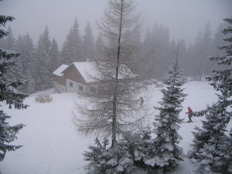 IMG-4711.JPG
