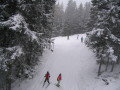 IMG-4710.JPG