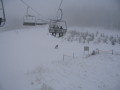 IMG-4714.JPG