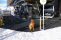 Valfrejus&nbsp;(9 k�p)