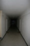 20100207-3808-sm.jpg