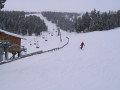 IMG-4937.JPG
