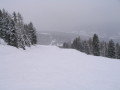 IMG-4940.JPG