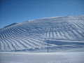 DSCN1366.JPG