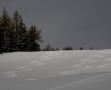 tracks-in-the-morning.jpg