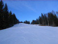 2009.12.26-Monichwald-sieles-IMG-7107.JPG