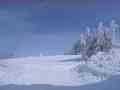 2009.03.14-Semmering-Stuhleck-Picture-027.jpg