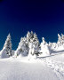 bluebird-day.jpg