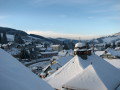 IMG-3860.JPG