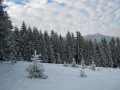 IMG-0664.jpg