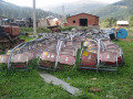 pilipec1.jpg