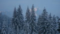 IMG-1124.JPG