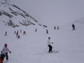IMGP0929.JPG