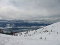 IMG-0110.jpg