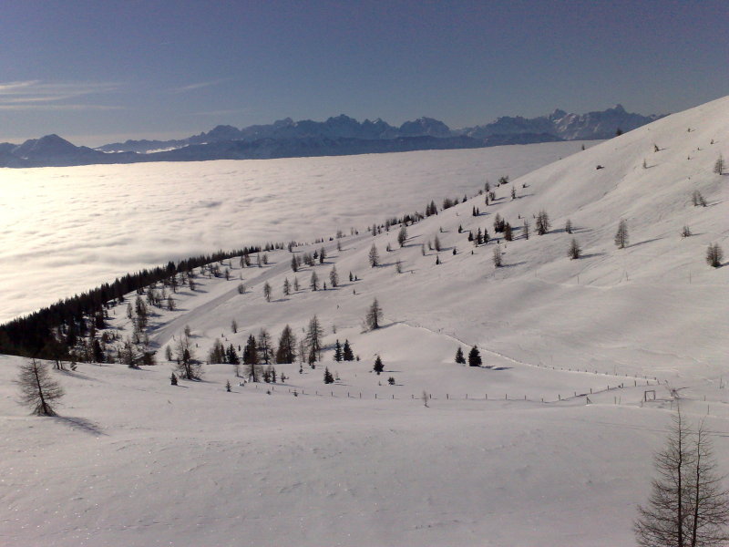 2009 janu�r