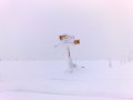 2008 december