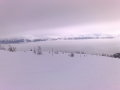 2008 december