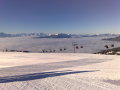 2009 janu�r
