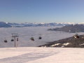 2009 janu�r