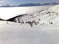 2009 janu�r