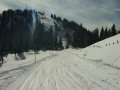 DSCF2036.JPG