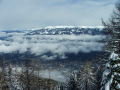 DSCF2041.JPG