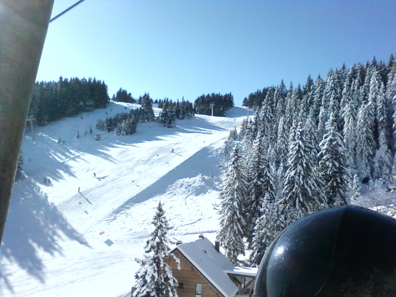 Fenykep0042.jpg