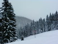 Fenykep0017.jpg