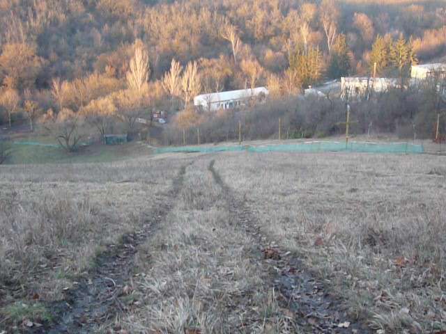 P1030433.JPG