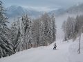 581_8119.jpg