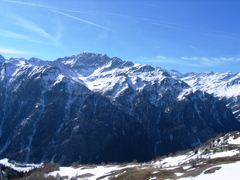 IMG-0453.jpg