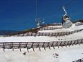 IMG-0455.jpg