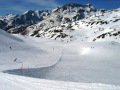 IMG-0477.jpg